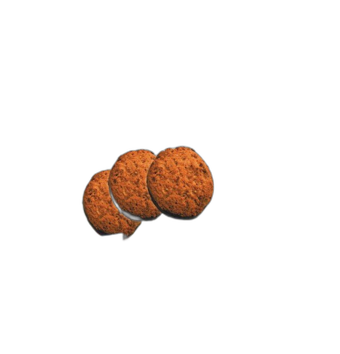 Galletas Fibromuesli Chocolate 500gr Ynsadiet